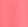 Coralicious  Pink