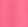 Shy Flamingo