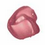 Fireberry