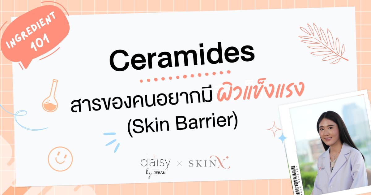 Ceramides สารของคนอยากมีผิวแข็งแรง (Skin Barrier) | Jeban x SkinX