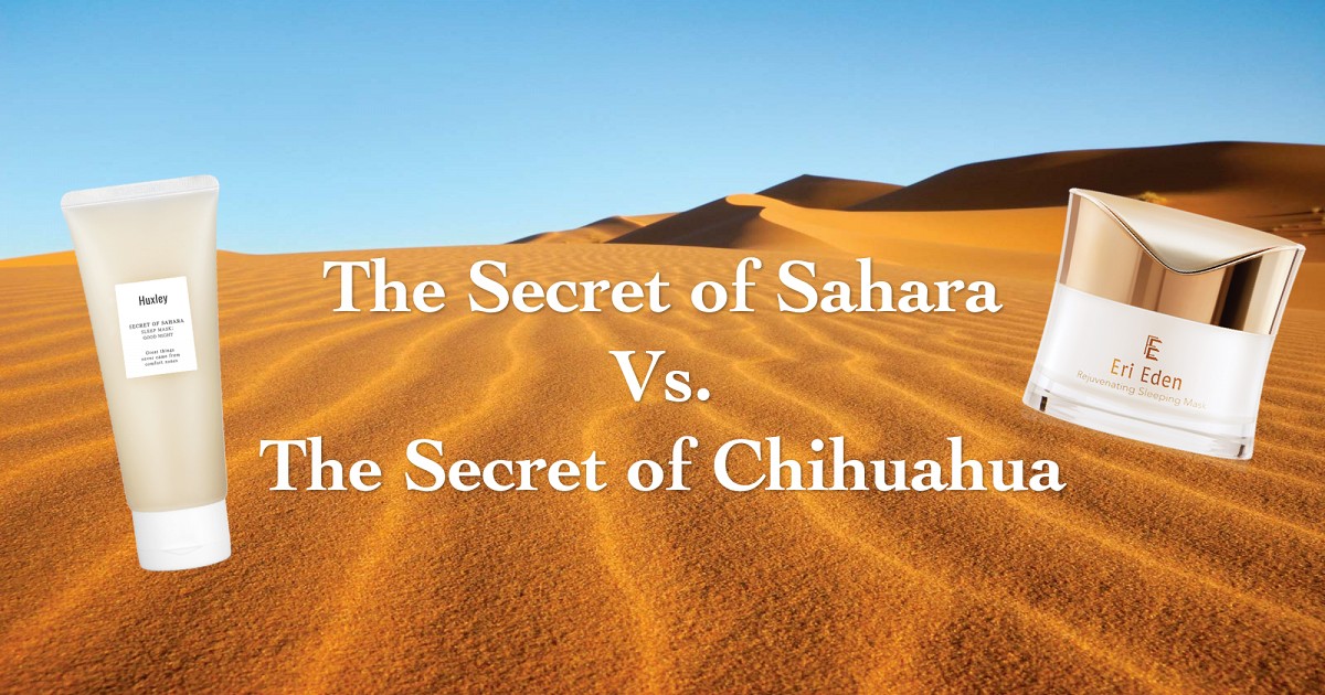 The Secret of Sahara Vs. The Secret of Chihuahua