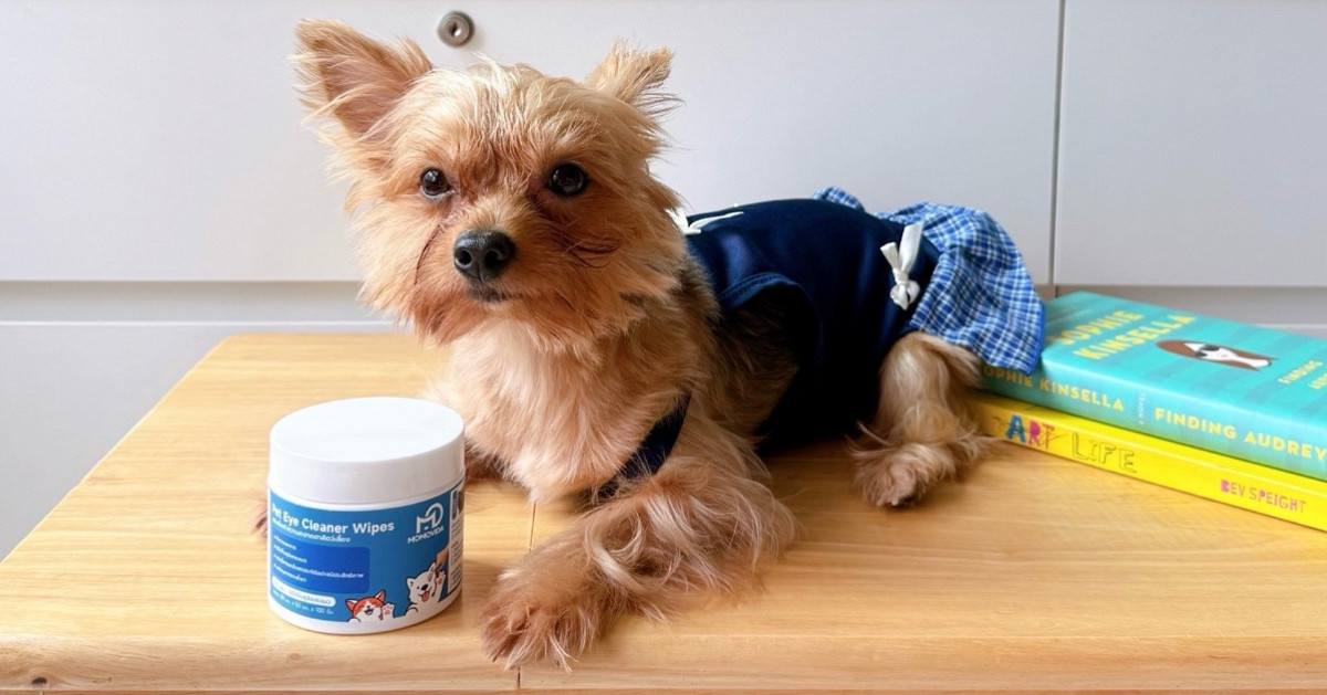 MOMOVIDA Pet Eye Cleaner Wipes