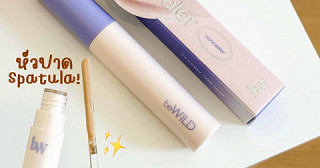 คอนซีลเลอร์หัวปาด Spatula‎⁺