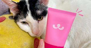 แนะนำกันแดดลูกรักอีกตัวที่ชอบมาก "กันแดดแมวชมพู"🐱🩷