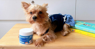 MOMOVIDA Pet Eye Cleaner Wipes