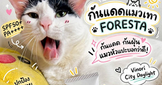 กันแดดแมวเทา Foresta☀️🩶