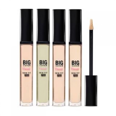 Big Cover Skin Fit Concealer Pro