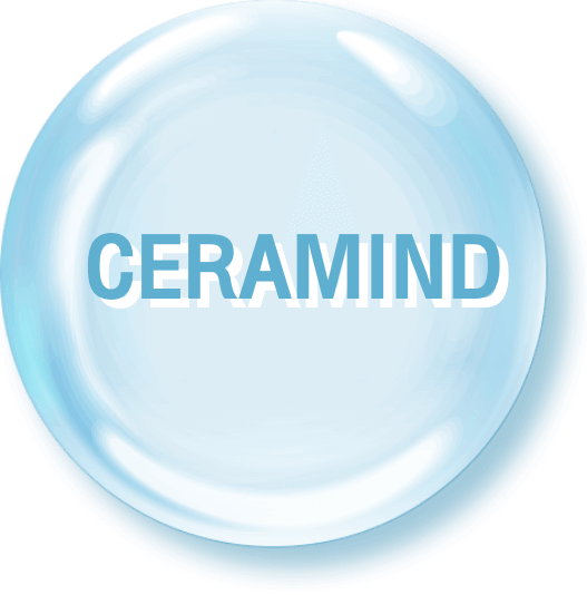 CERAMIND