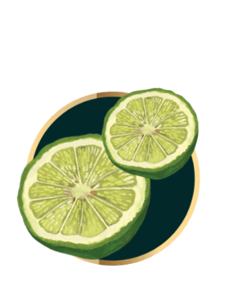 เบอกาม็อท