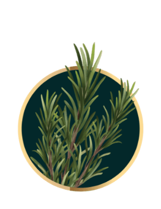 โรสมารี่