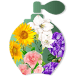 น้ำหอมชั้นนำ