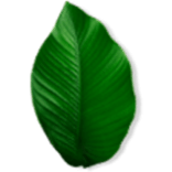 100% สารสกัดจากธรรมชาติ