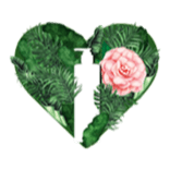 รักสังคม รักสิ่งแวดล้อม