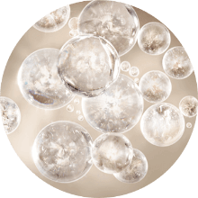 Penta - Peptides (PAL-KTTKS)