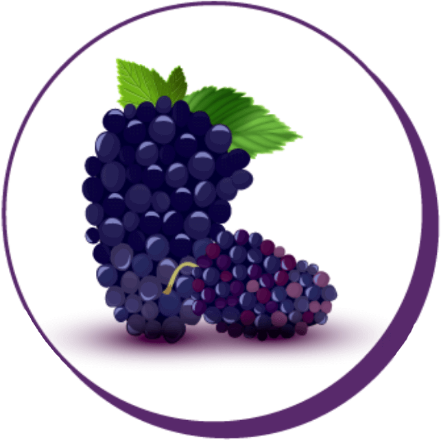 Mulberry Root Extract