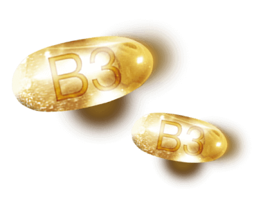 B3 - Niacinamide (Vitamin B3)