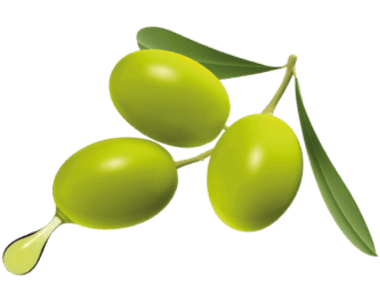 OliveM สารสกัดจากผลมะกอก