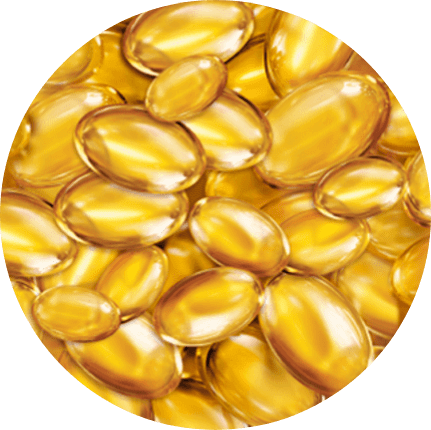 โปร-วิตามิน บี 5