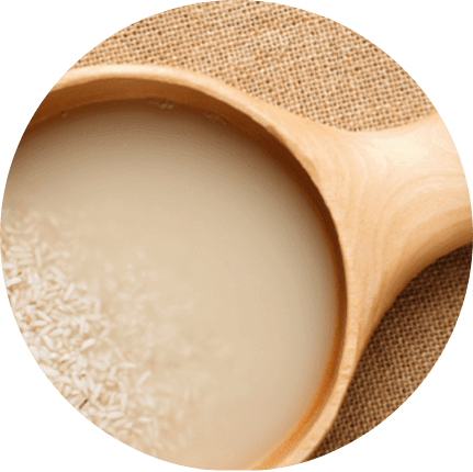 วิตามินจากน้ำหมักข้าว