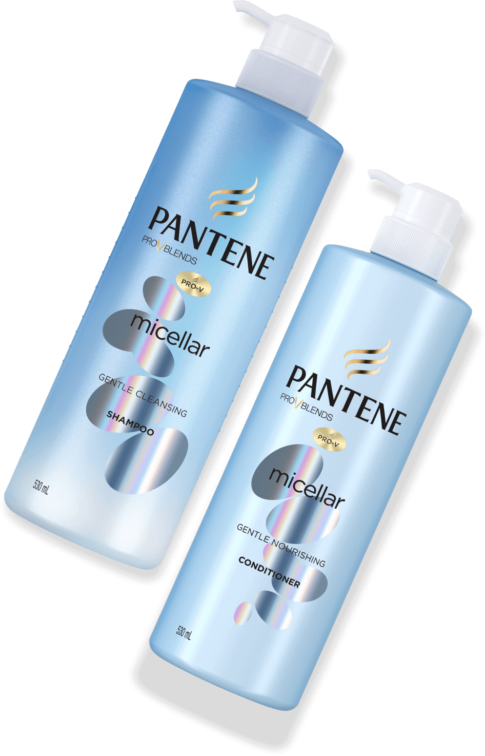 ดีท็อกซ์หนังศีรษะ พร้อมฟื้นบำรุงเส้นผมอย่างล้ำลึก