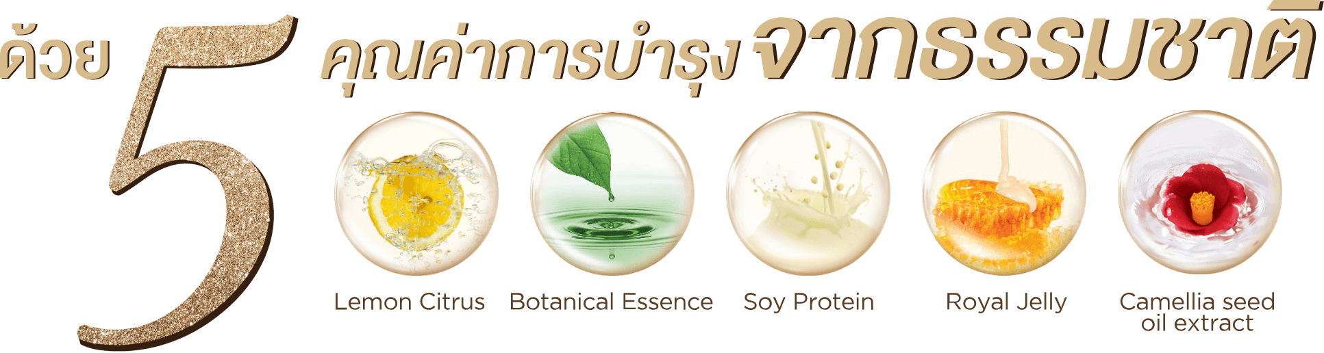 ด้วย 5 คุณค่าการบำรุง จากธรรมชาติ