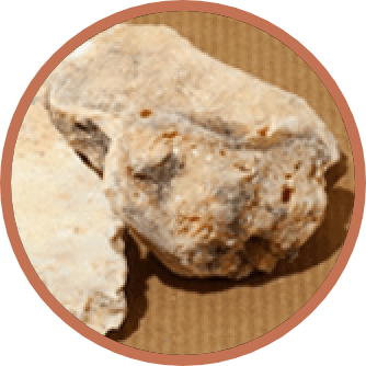 Siam Benzoin Extract