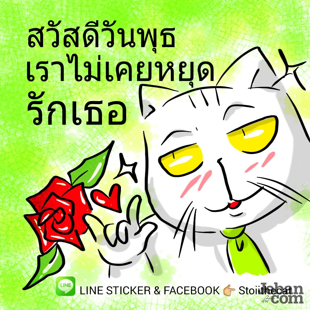 My Image 36