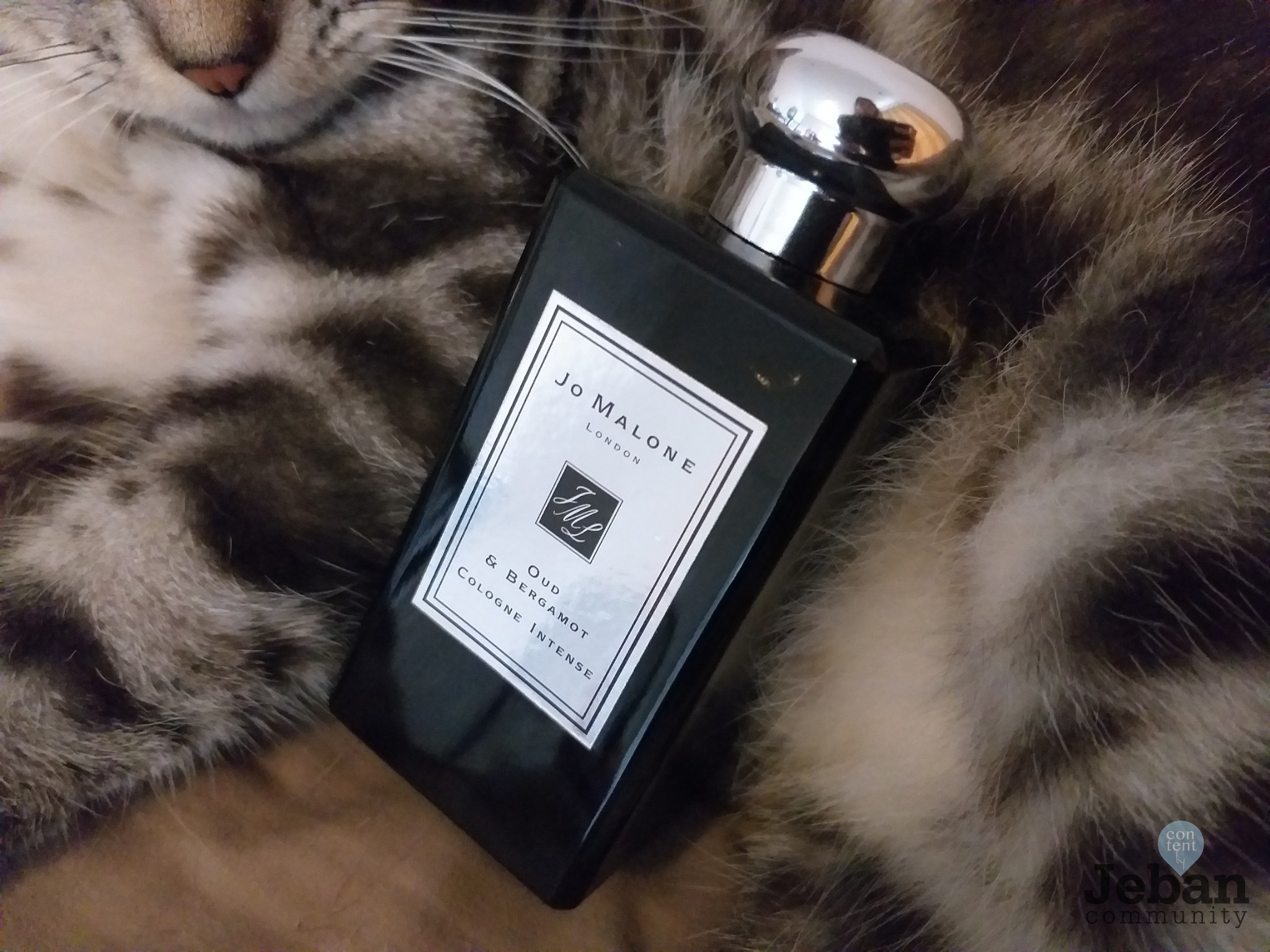 [Review] Jo Malone Oud&Bergamot เมื่อป้าโจไม่ใช่ลูกคุณหนูอีกต่อไป!!