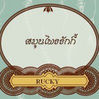 สมุนไพรรักกี้