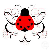 Little Ladybug