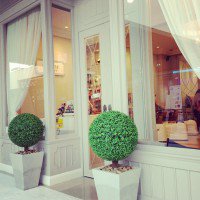 Colette Nail Spa