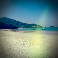 พู่กันในน้ำจิ้มไก่