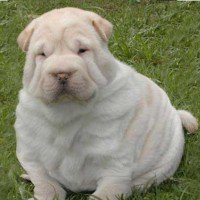 ช่วยอ่านหน่อย