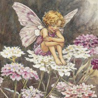 ธัมเบลิน่า..นางฟ้าตัวจิ๋ว