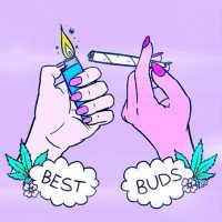 sasisasisasisasisasisasi