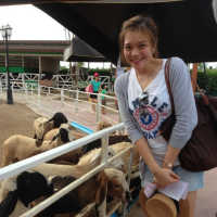 ลูกหมูเทวดา