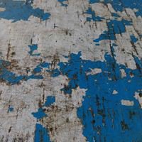 นารีขี่ม้าหมุน