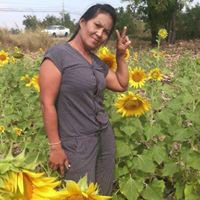 ดาวรุ่ง แก้ววิเชียร