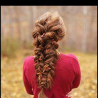 หมาาาาอร