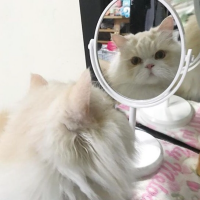 แม่พี่บี๋