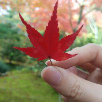 me and my make up bag