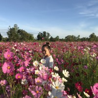 Nalanpohn Sitti