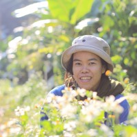 Thanaphorn Namseemma