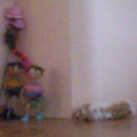 ownpas