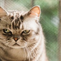 112 จุฑามาศ สัตย์ซื่อ