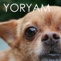 yoryam