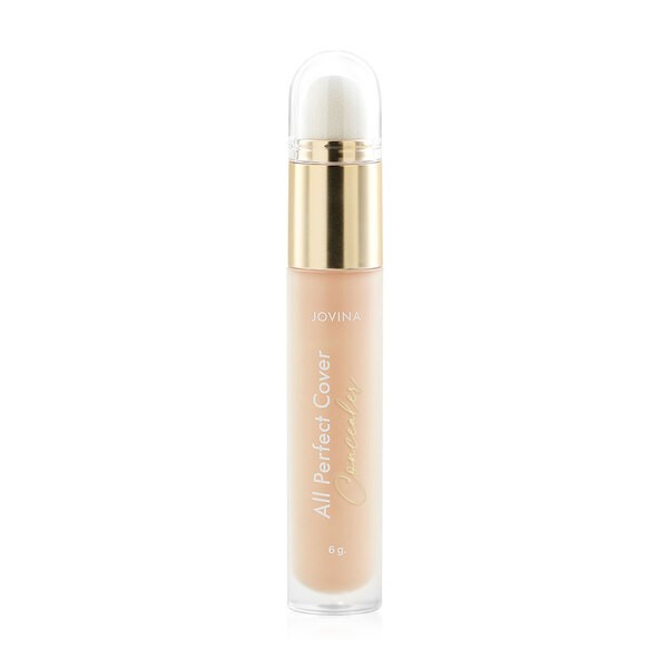 All Perfect Cover Concealer