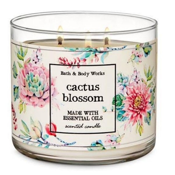 Cactus Blossom 3-Wick Candle