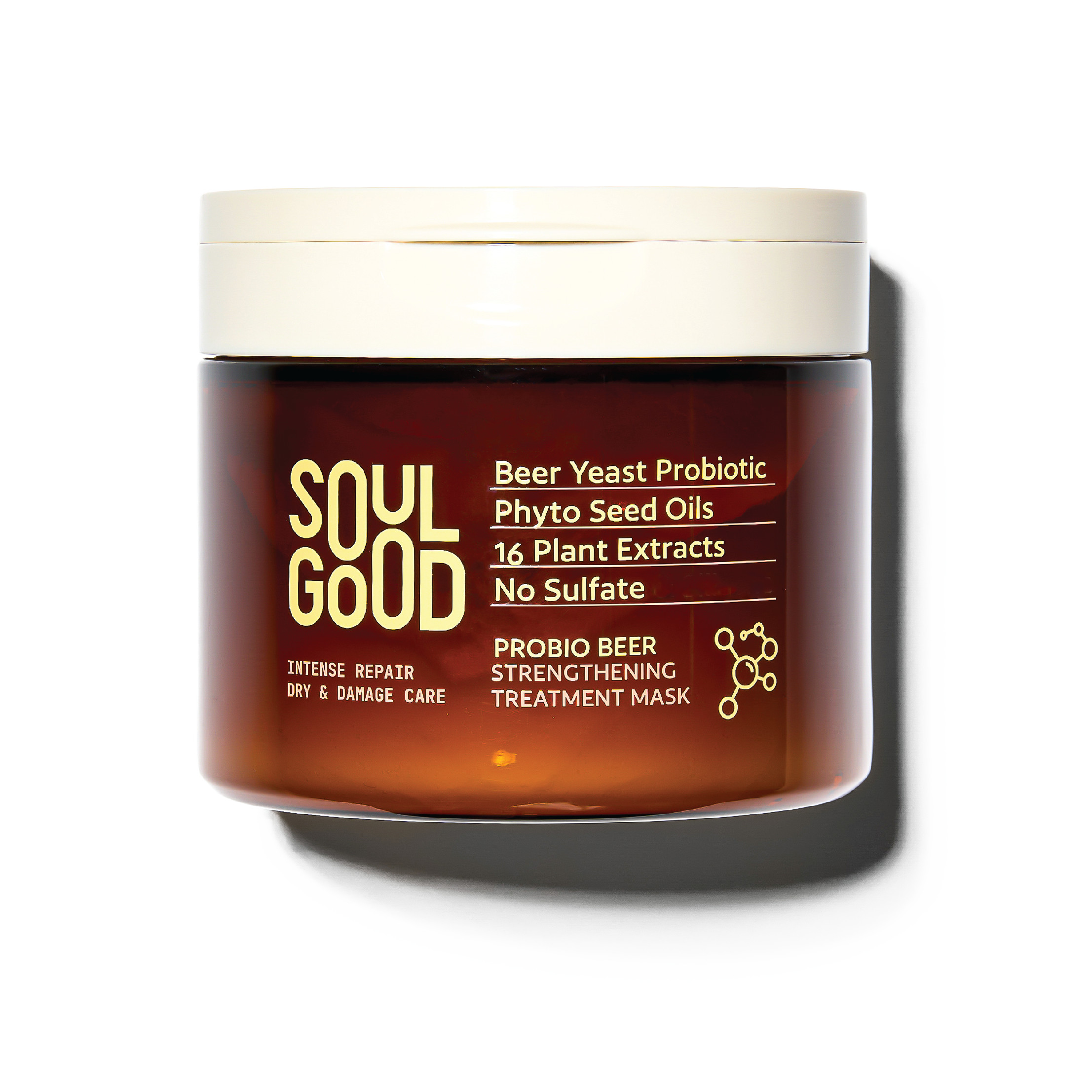 Probio Beer Intense Repair Damage Care Treatment