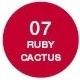 07 Ruby Cactus